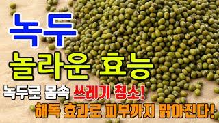 녹두의 놀라운 효능 8가지 & 부작용 / 해독의 힘! 해독 효과로 몸을 정화하는 녹두의 놀라운 이점