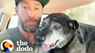 The Happiest Dog Rescue Stories | The Dodo