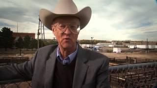 DENVER - History of the Denver Stockyards - Dan Green