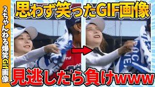 【おもしろGif】思わず笑った最強Gif画像ww by 2ch【コメ付き】【ゆっくり解説】【2chスレ】【5ch】#109