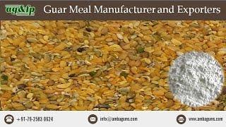 Guar Meal Manufacturer & Exporter - www.abagums.com