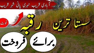 Agriculture Land for sale in punjab pakistan | Raqba for sale | Zameen for sale | Ep 63