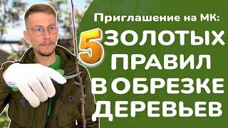 Приглашение на МК: «5 золотых правил в обрезке деревьев»