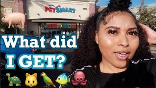 MY FIRST PET EVER!!!! (SO ADORABLE) | GUINEA PIG SHOPPING PETSMART VLOG