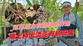 运用活力农耕绿肥养地　瘠土种出漂亮有机蔬果