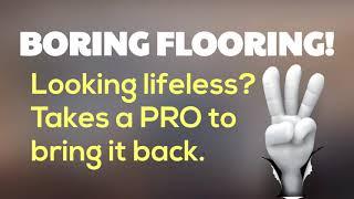 spring hill fl give carpet longer life 654 5 19