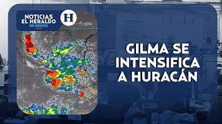 Gilma se fortalece a huracán categoría 2 | Noticias el Heraldo