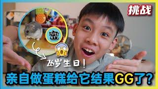 [挑战] 亲自做蛋糕给Sesame; 结果GG了?!!! [JudeTube]