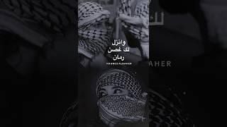 غصن رمان - مريم شهاب