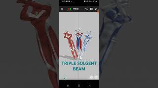 TRIPLE SOLGENT BEAM