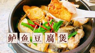 鲈鱼这么做才好吃！鲈鱼豆腐煲的做法！Fish and Tofu Chinese Recipe