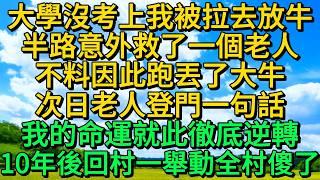 大學沒考上我被拉去放牛，半路意外救了一個老人，不料因此跑丟了大牛，次日老人登門一句話，我的命運就此徹底逆轉，10年後回村一舉動全村傻了 | 柳梦微语