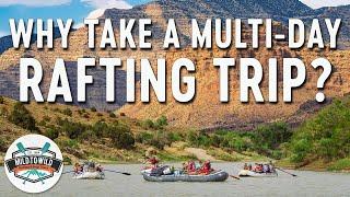 Why Take a Multi-Day Rafting Trip? | Mild to Wild Rafting & Jeep Tours