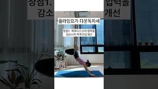 플라잉요가 후기_다운독 자세 효과 장점 3가지