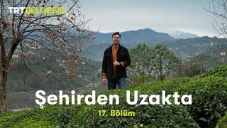 Şehirden Uzakta | Rize-Dağsu mahallesi | TRT Belgesel