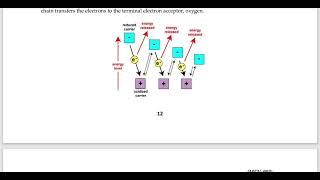 MFN 02 ENGLISH MEDIUM GUESS PAPER (LATEST SESSION) || MFN 02 ENGLISH MEDIUM SAMPLE PAPER