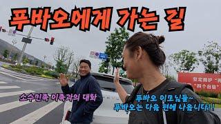 푸바오 만나러 갑니다 - 중국여행 22 [청두]푸바오에게 가는 길