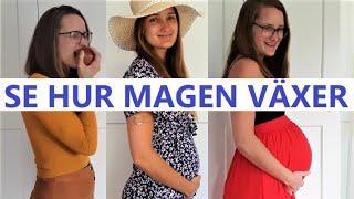 Magen växer under graviditet // Fostret är stort som en... // Growing pregnancy belly