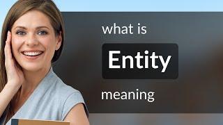 Entity | definition of ENTITY