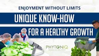 How to become a well-known competence leader in the field of indoor farming? A portrait of PhytonIQ