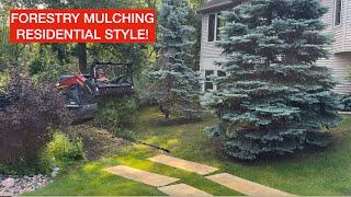 Backyard Forestry Mulching