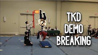 Taekwondo Demo Team Breaking Demonstration