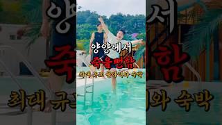 양양에서 죽을뻔 했습니다ㅣ템플온더비치