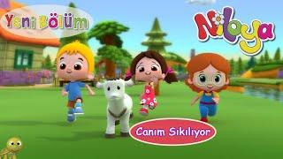 Niloya - 2023 / Canım Sıkılıyor  