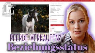 Beziehungsstatus? Pferde verkaufen? | #17