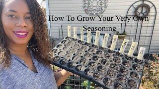 How To Grow Herbs From Seed Garden 2022