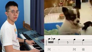A-wei, your dog is calling you