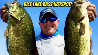 RICE LAKE BASS HOTSPOT- Bass X Digital Episode