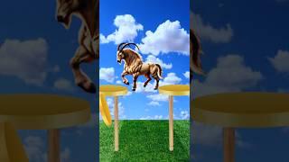 bodybuilder Bakra viral video YouTube OMG rasta viral#allah #shortvideos #animals #viralvideo #viral