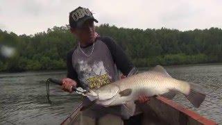 Topwater explosion of barramundi with Gong Lei.