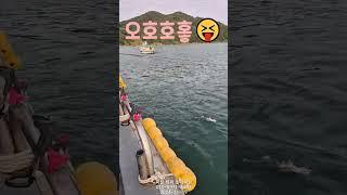 #낚시 #fishing #선상낚시 #감성돔 #돔 #카고 #바다 #마산 #창원 #호야호 #호야피싱