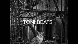 BEAT HIP HOP TONI BEATS USO LIBRE 2024