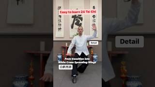 Easy to learn 24 Tai Chi. Use yin yang to practice.白鹤亮翅 (bai he liang chi) #taichi #wushu #kungfu