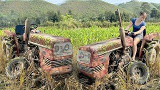 Repair Complete Of Old Agricultural Tractor - Replace Gearbox Bearings Restoration | Blacksmith Girl