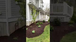 #26Planting, mulch, edge garden beds.#after #landscaping #shorts