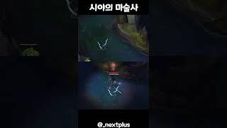 대부분이 모를 와드의 비밀