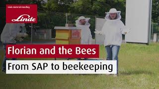 Linde MH's sweet side: Our beekeeping project 