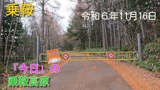 曇り空の乗鞍高原です。今日も暖かな乗鞍高原ですが、来週からは平年並みに気温が下がる予報になっています。初雪もぼちぼちでしょう。（2024.11.16）