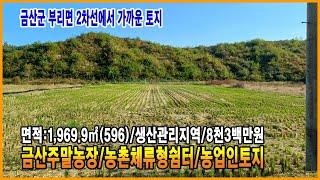 금산토지 생산관리지역 2차선에서 가까운 경지정리된 토지 금산부동산 부리면토지 하우스용토지 만호공인중개사