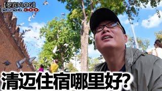 换过8个酒店后告诉你清迈住那比较好？不搬家了这个房东太漂亮【罗宾VLOG】