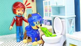 Paw Patrol Wellness Routine | Paw Patrol Toys