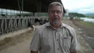 Sulfate-Free Trace Minerals for Ruminants: Dave, Homestead Nutrition, Inc. | IntelliBond