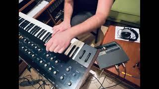 Korg Polysix and Korg KR-55 Arps and Bass