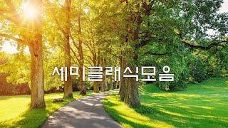 [광고없음][NO ADS] 클래식 명곡 베스트 | 부드러운 아침을 위한 명곡 클래식 음악 모음 | 카페에서 책 읽을 때 좋은 클래식