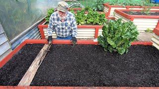 Planting SPRING Veggies!