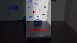 алиса гонит меня на работу